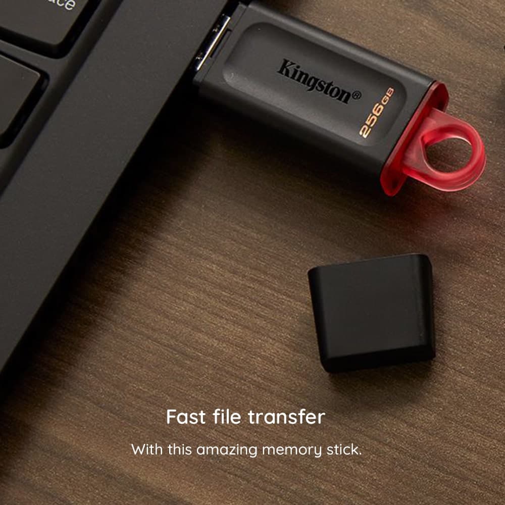 KINGSTON USB FLASH DTX/64GB 3