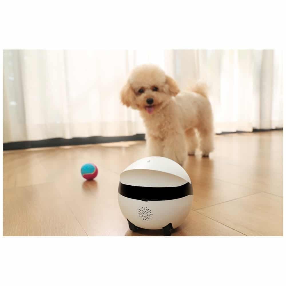 Εξυπνο Ρομπότ Συνοδός Enabot Rola Mini 6