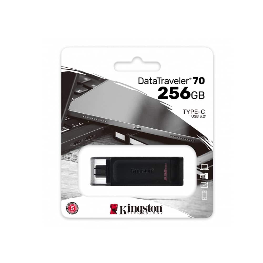 Kingston Memory Stick 256GB - Μαύρο 6