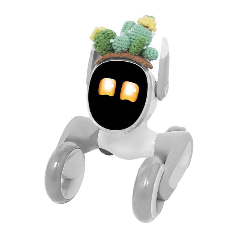 Πλεκτό κοστούμι για το Loona Premium Cactus 2