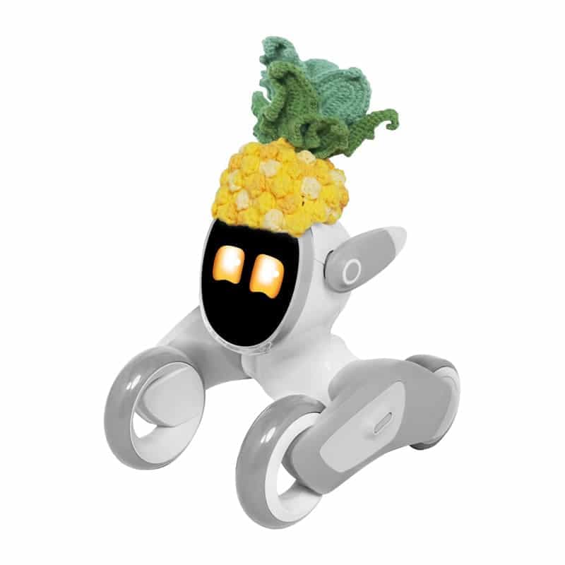 Πλεκτό κοστούμι για το Loona Premium Pineapple 2