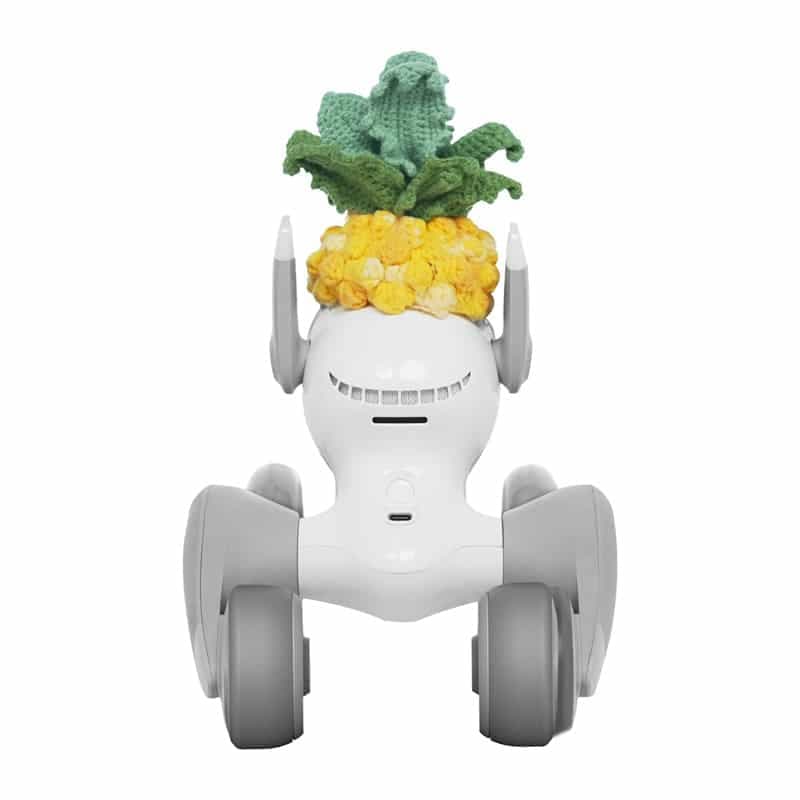 Πλεκτό κοστούμι για το Loona Premium Pineapple 3