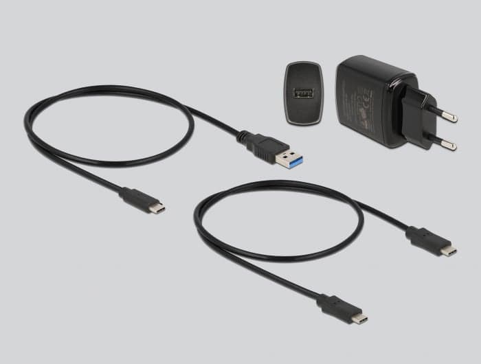 DELOCK docking station για M.2 SATA SSD 64178, 2 θέσεων, 6Gbps, clone function, μαύρο 4