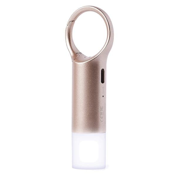Μπρελόκ Lexon Nomaday Flash LED χρυσό LL137D 3
