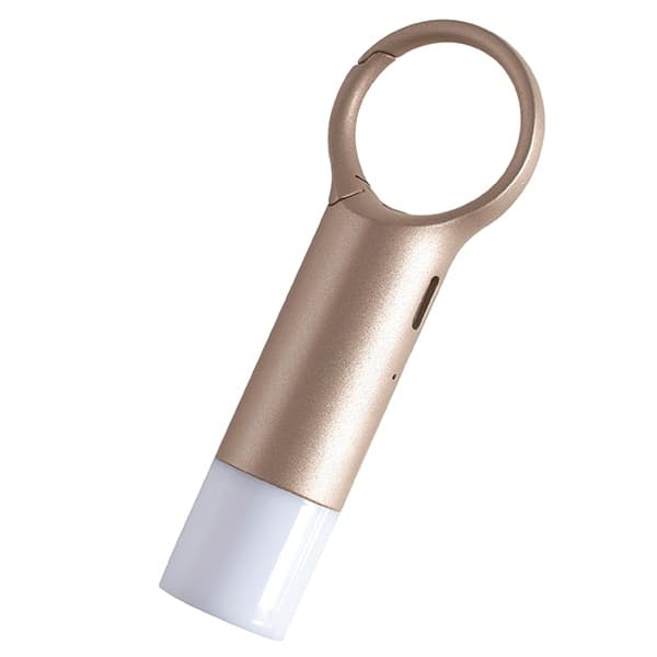 Μπρελόκ Lexon Nomaday Flash LED χρυσό LL137D 5
