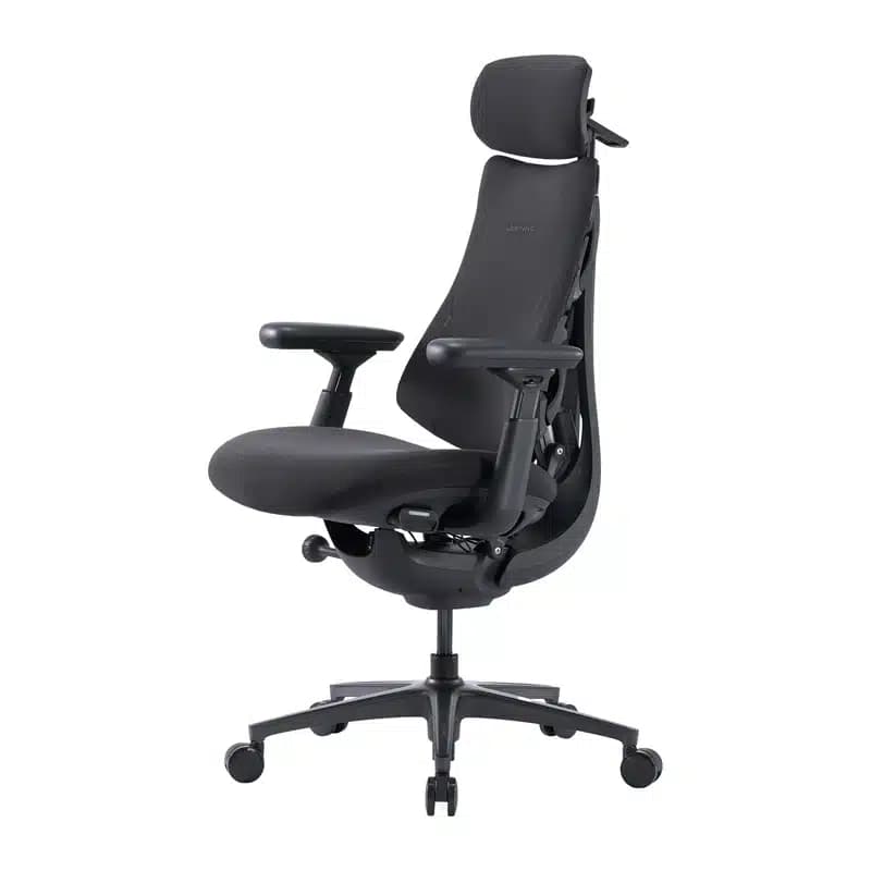 LiberNovo Omni Pro Εργονομική Καρέκλα 45 cm, Γραφίτης 3