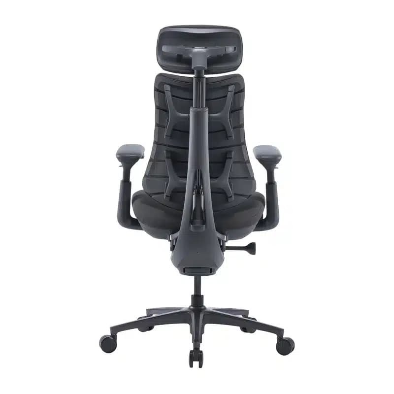 LiberNovo Omni Pro Εργονομική Καρέκλα 45 cm, Γραφίτης 5