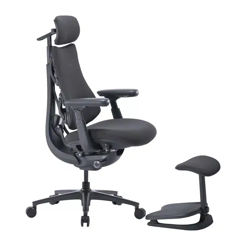 LiberNovo Omni Pro Εργονομική Καρέκλα 45 cm, Γραφίτης 6