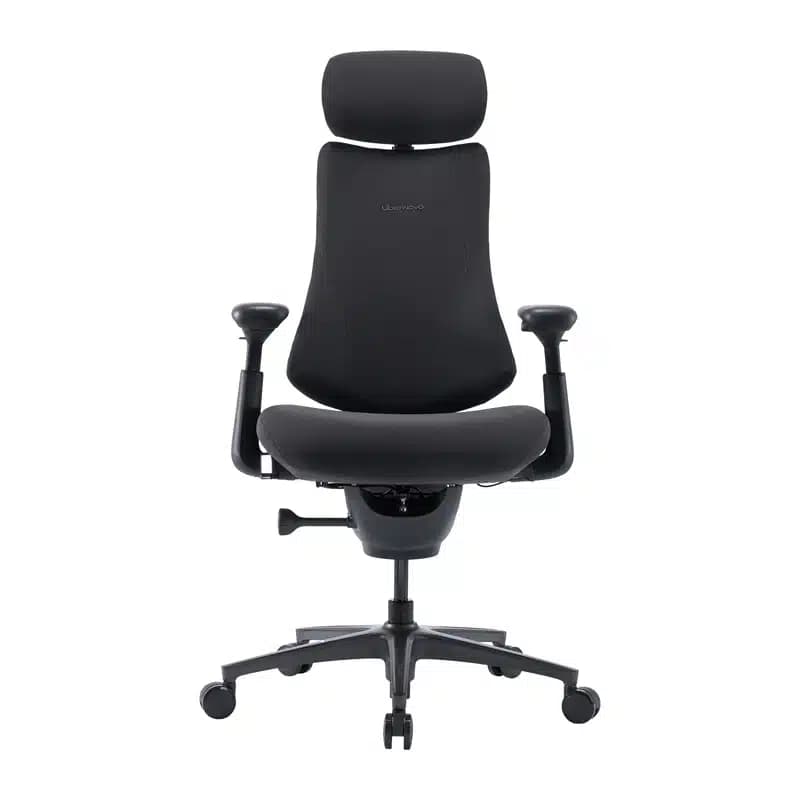 LiberNovo Omni Pro Εργονομική Καρέκλα Γραφείου, 48 cm, Γραφίτης 2
