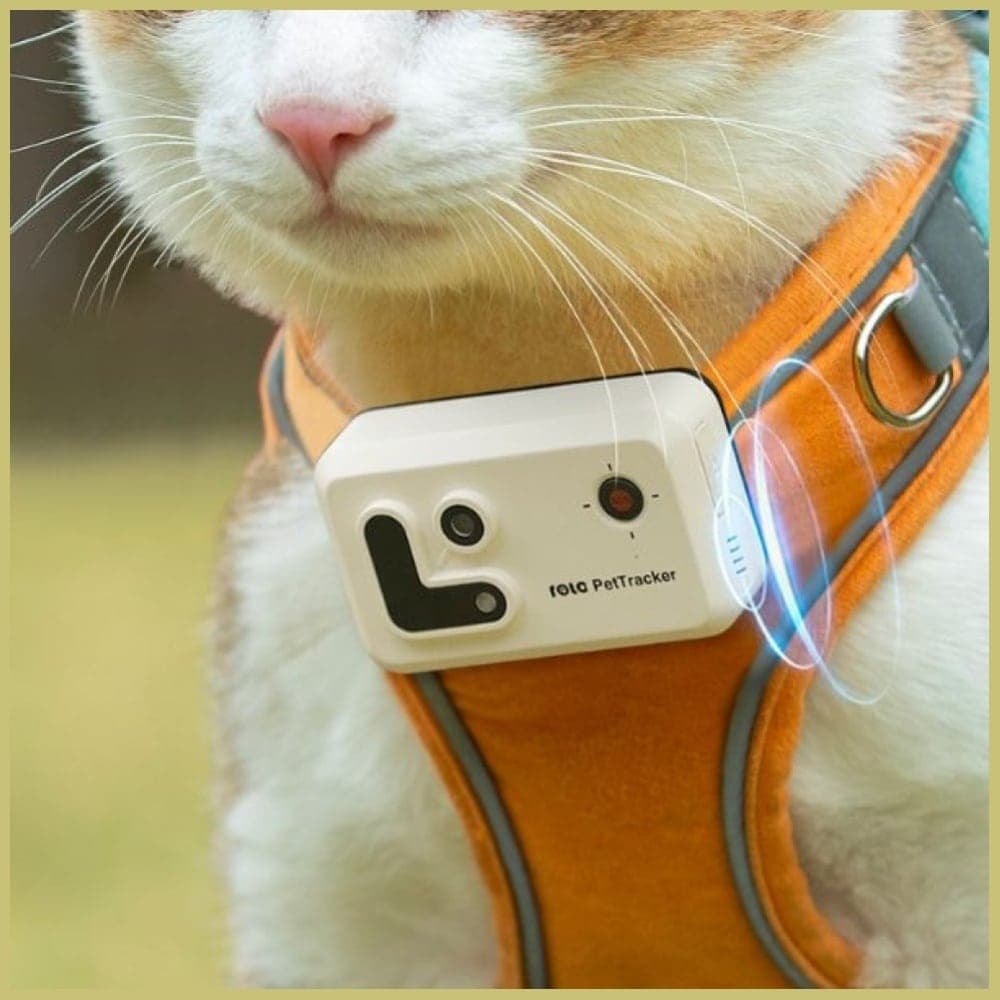 ENABOT GPS Tracker για Σκύλο ή Γάτα, Σκούρο Μπλε 6